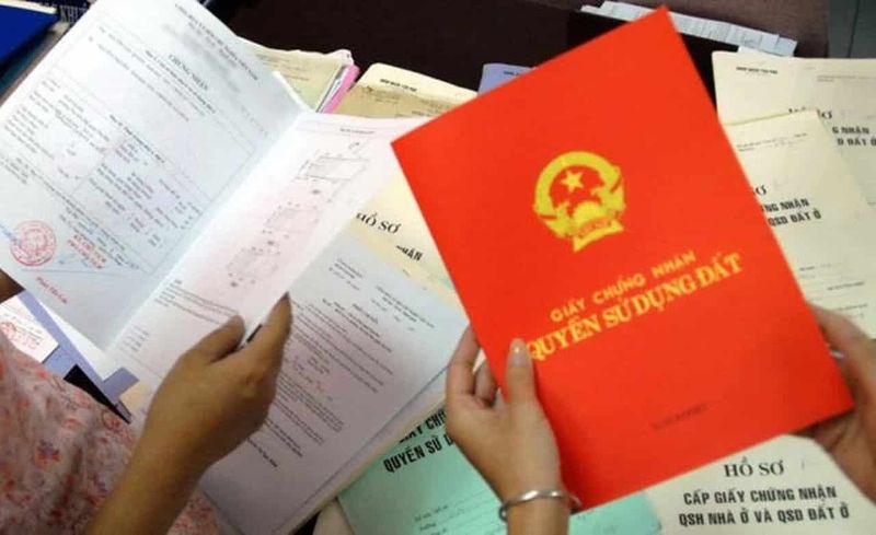 Đất màu mỡ là gì? Làm thế nào để chuyển đổi đất màu mỡ thành đất ở?