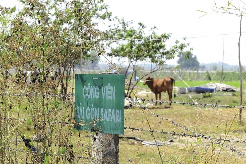 Đất quy hoạch bị đình chỉ? Tôi có nên mua đất quy hoạch bị đình chỉ để sử dụng không?