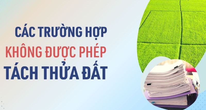 Đất quy hoạch bị đình chỉ? Tôi có nên mua đất quy hoạch bị đình chỉ để sử dụng không?