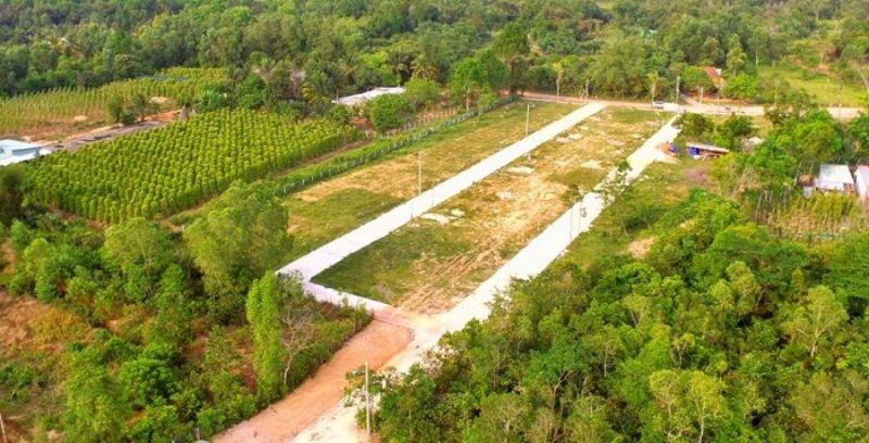 Tôi có nên mua đất để trồng cây hàng năm như một khoản đầu tư không?