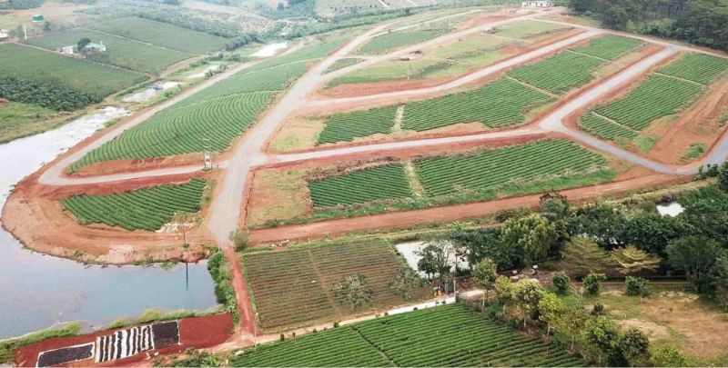 Tôi có nên mua đất để trồng cây hàng năm như một khoản đầu tư không?