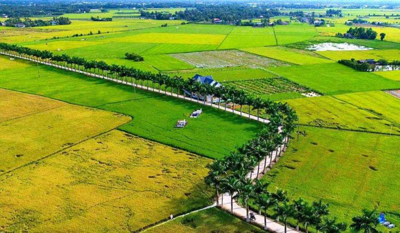 Đất ONT là gì? Quy định mới nhất về việc sử dụng đất ONT là gì?