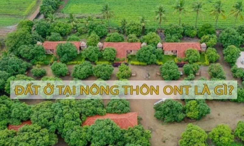 Đất ONT là gì? Quy định mới nhất về việc sử dụng đất ONT là gì?