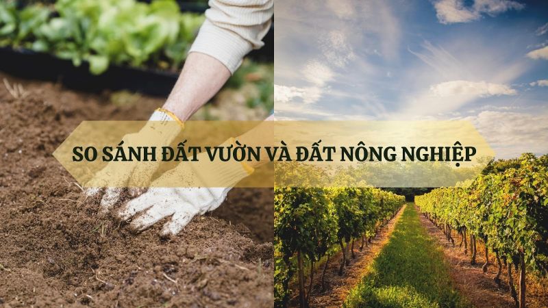 Đất vườn là gì? Tôi có thể xây nhà trên đất vườn không?