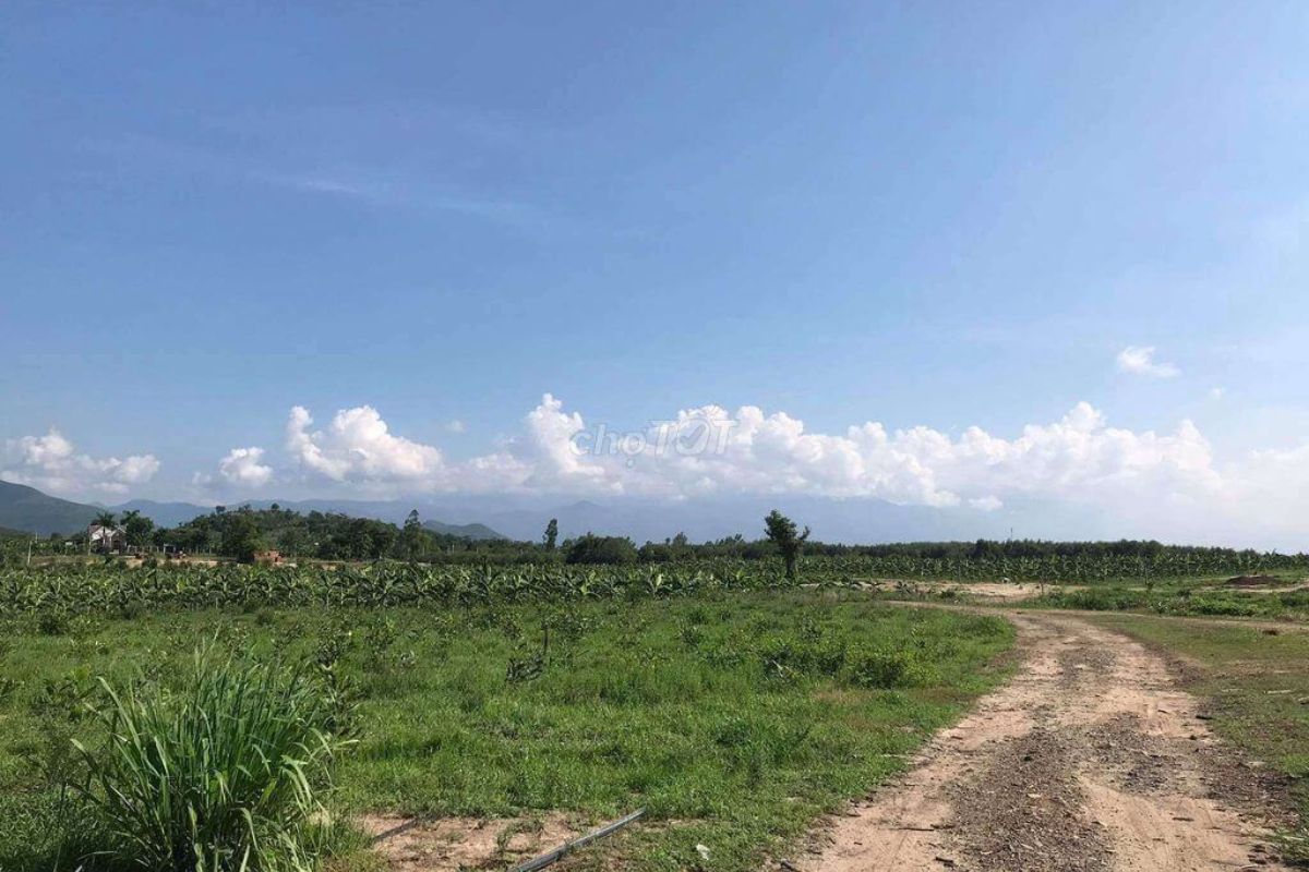 Loại đất ONT CLN là gì? Quy trình chuyển đổi đất CLN - Vietnam Land