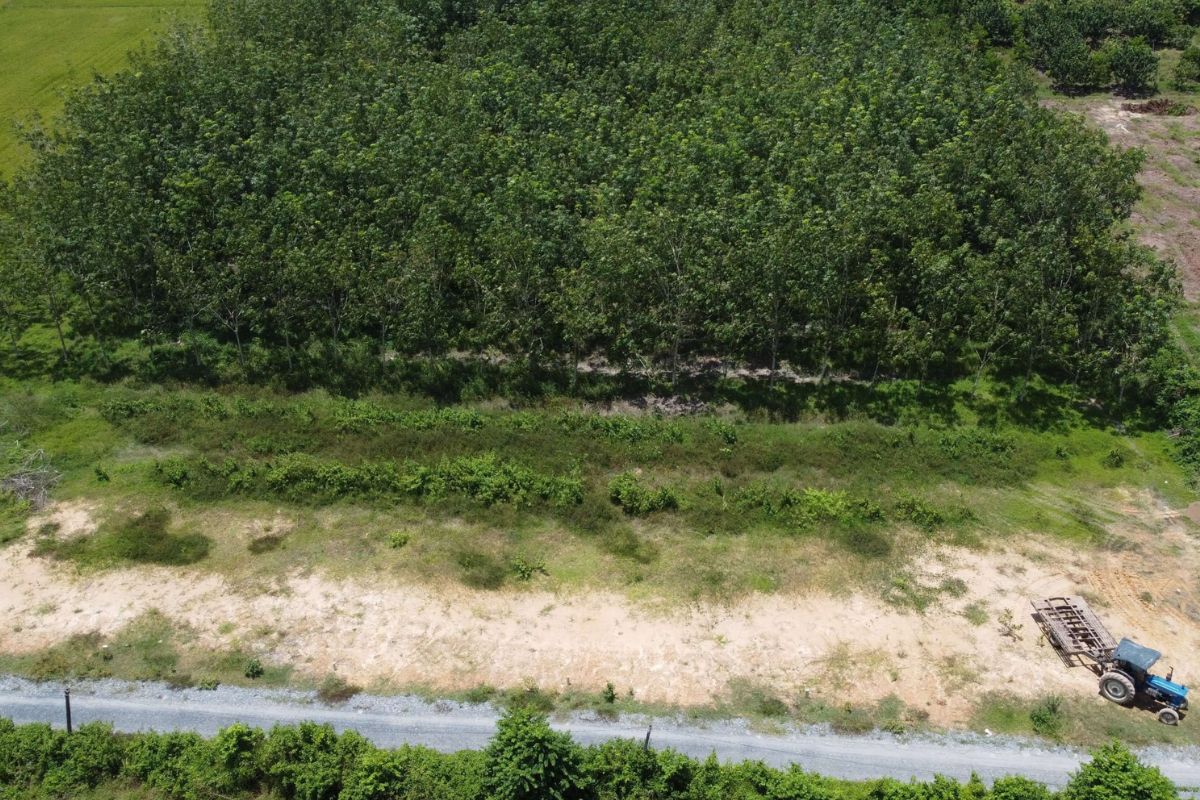Loại đất ONT CLN là gì? Quy trình chuyển đổi đất CLN - Vietnam Land