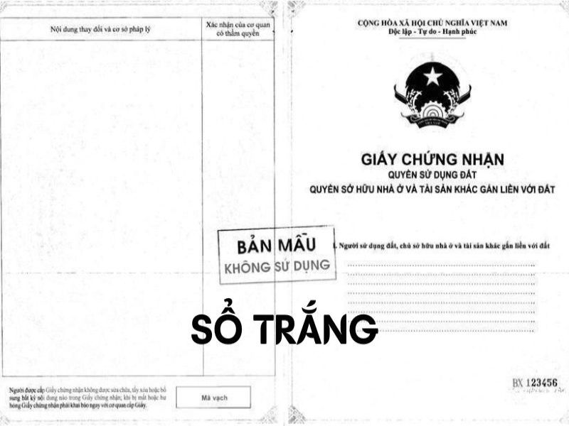 Sổ trắng là gì? Cách phân biệt và chuyển đổi sổ trắng thành sổ hồng